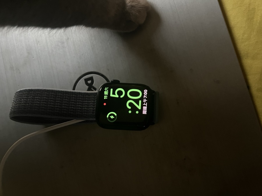 Apple Watch Series 8 (45 mm)