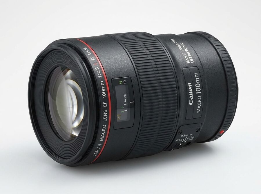 Canon EF 100mm f/2.8L Macro IS USM