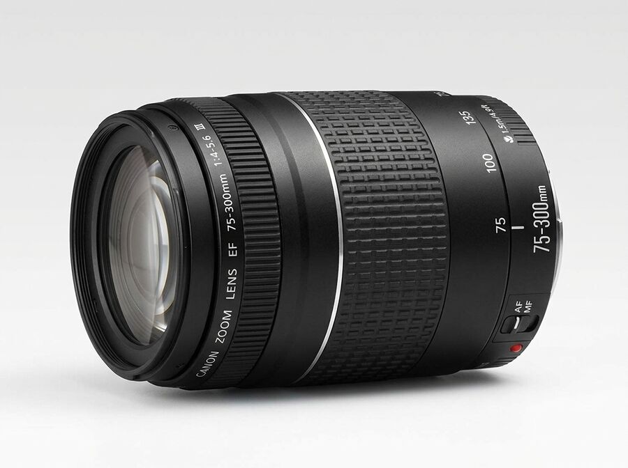 Canon EF 75-300 f/4-5,6 III