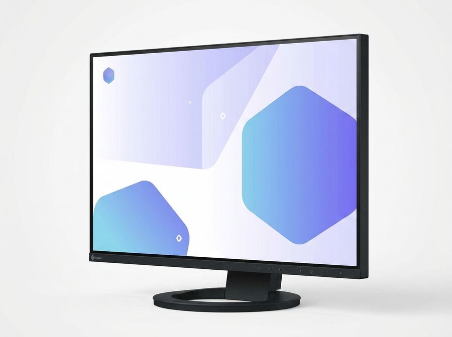 EIZO FlexScan EV2495 (24,1 Zoll, schwarz)