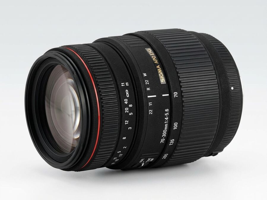 Sigma 70-300mm F4-5.6 DG Macro APO (Canon)